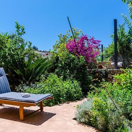 Private Garden Apartment دوبروفينك المظهر الخارجي الصورة